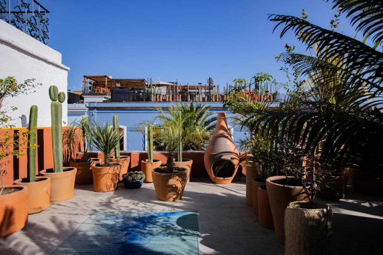 Hotel Los Amantes Oaxaca Exteriér fotografie